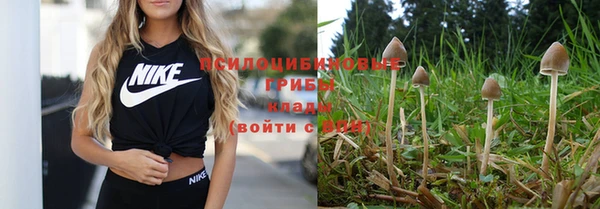 кокс Аркадак
