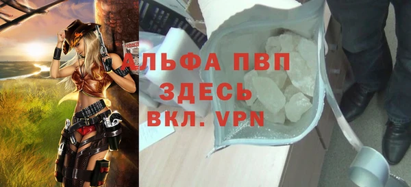 ПСИЛОЦИБИНОВЫЕ ГРИБЫ Михайлов